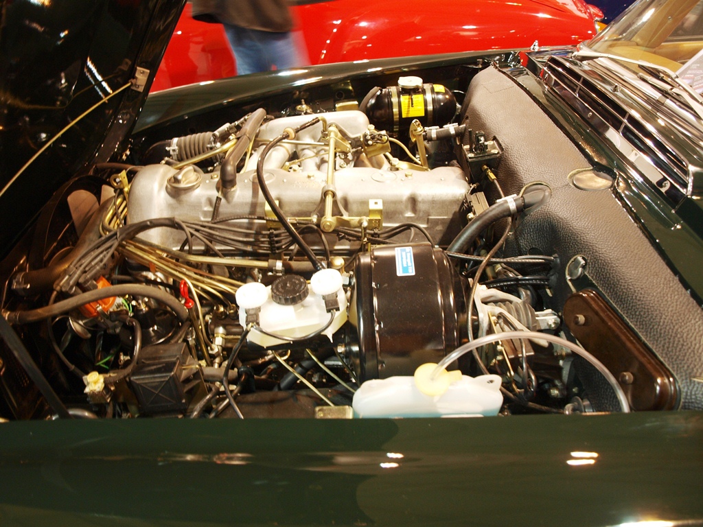 P4016329.JPG