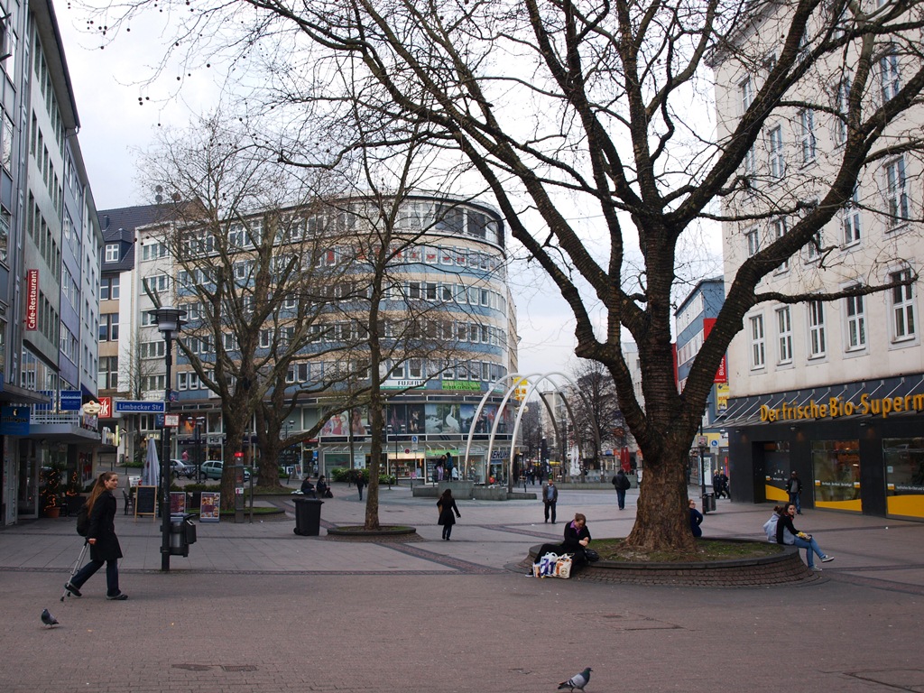P3305489.JPG