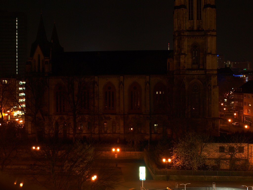 P4016389.JPG
