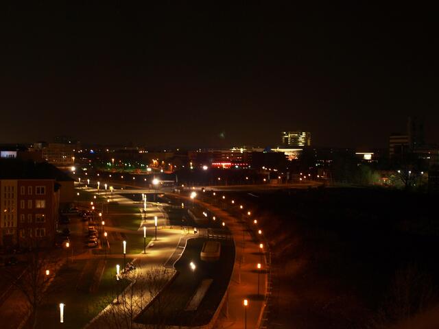 P4016392.JPG