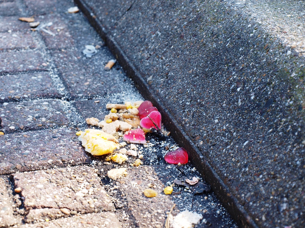 P4026409.JPG
