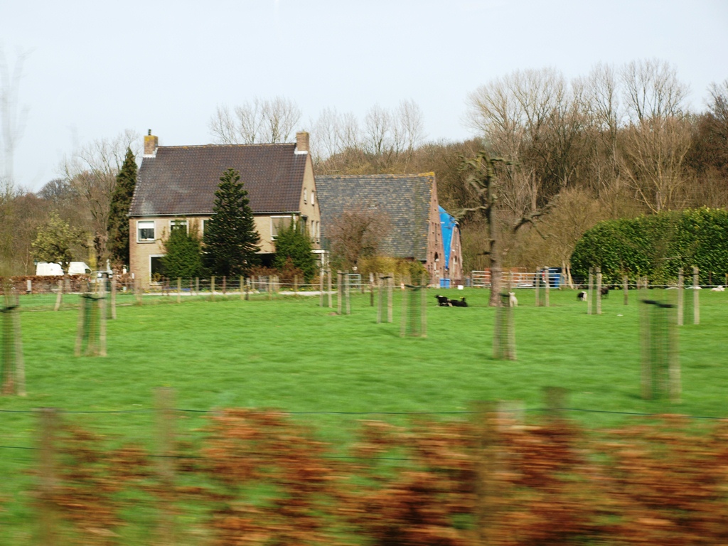 P4026424.JPG