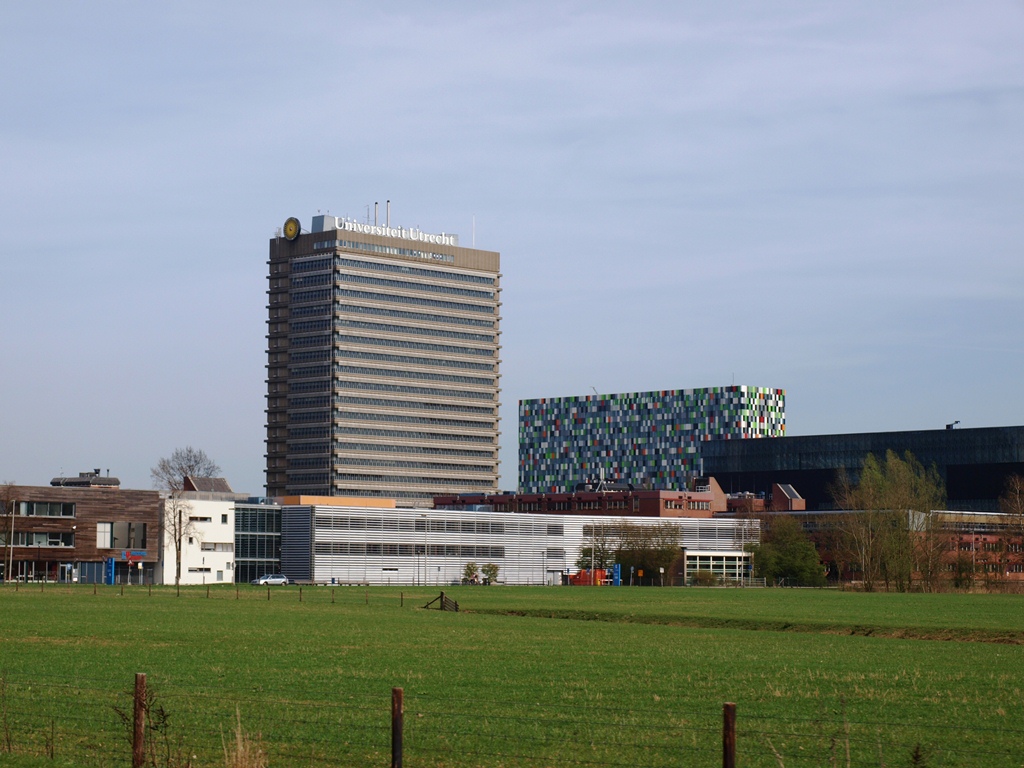 P4026425.JPG