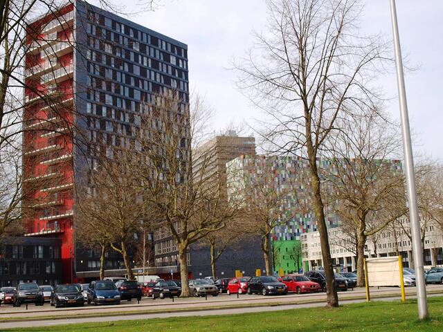 P4026430.JPG