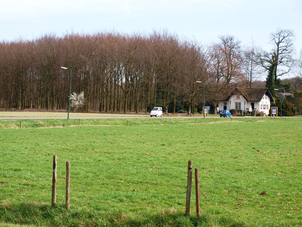 P4026433.JPG