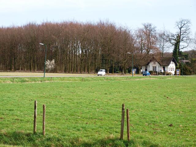 P4026433.JPG