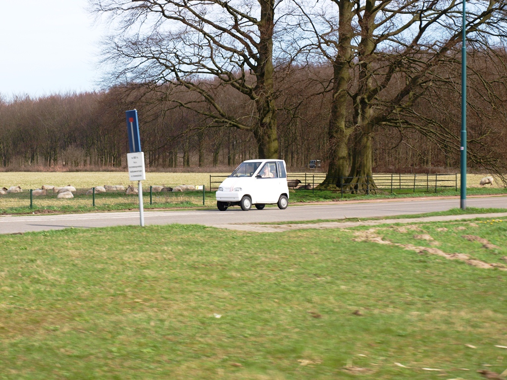 P4026434.JPG