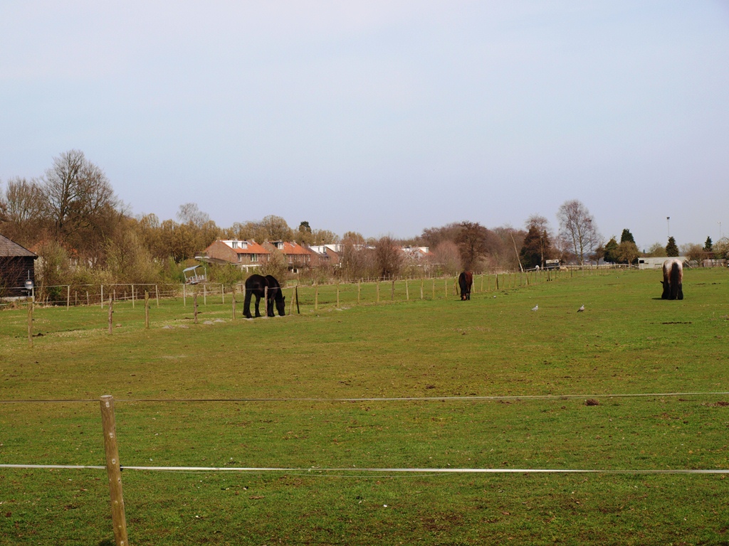 P4026436.JPG