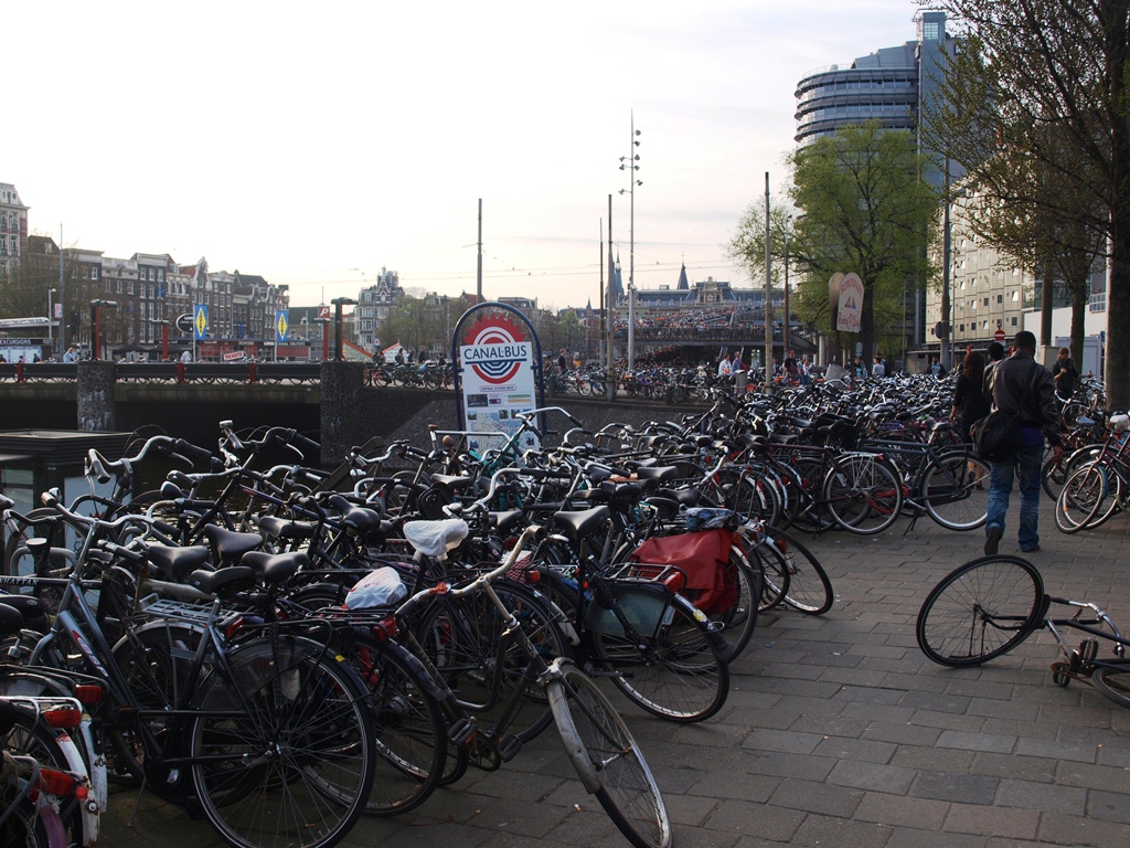 P4026482.JPG