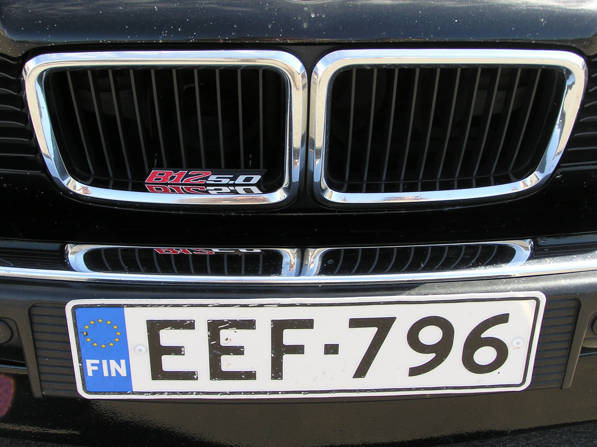 P7290056.JPG