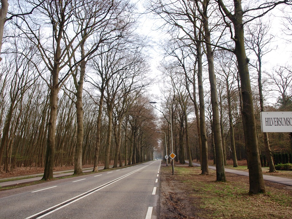 P4036542.JPG
