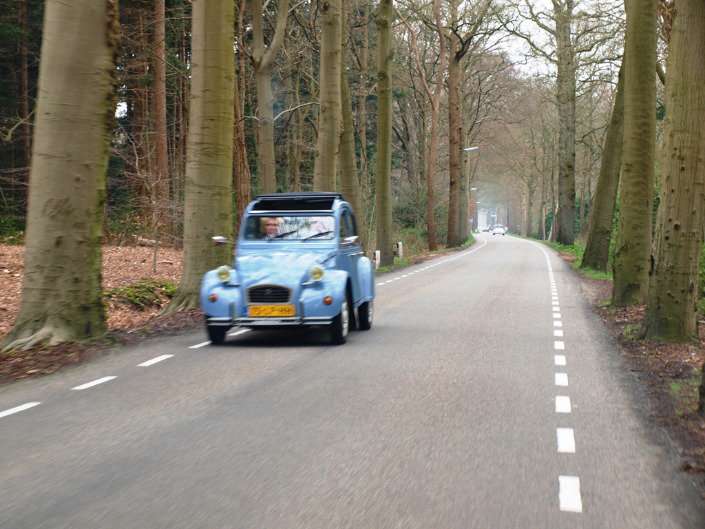 P4036544.JPG