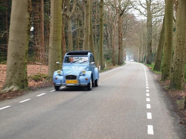 P4036544.JPG