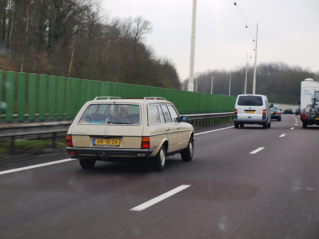 P4036548.JPG