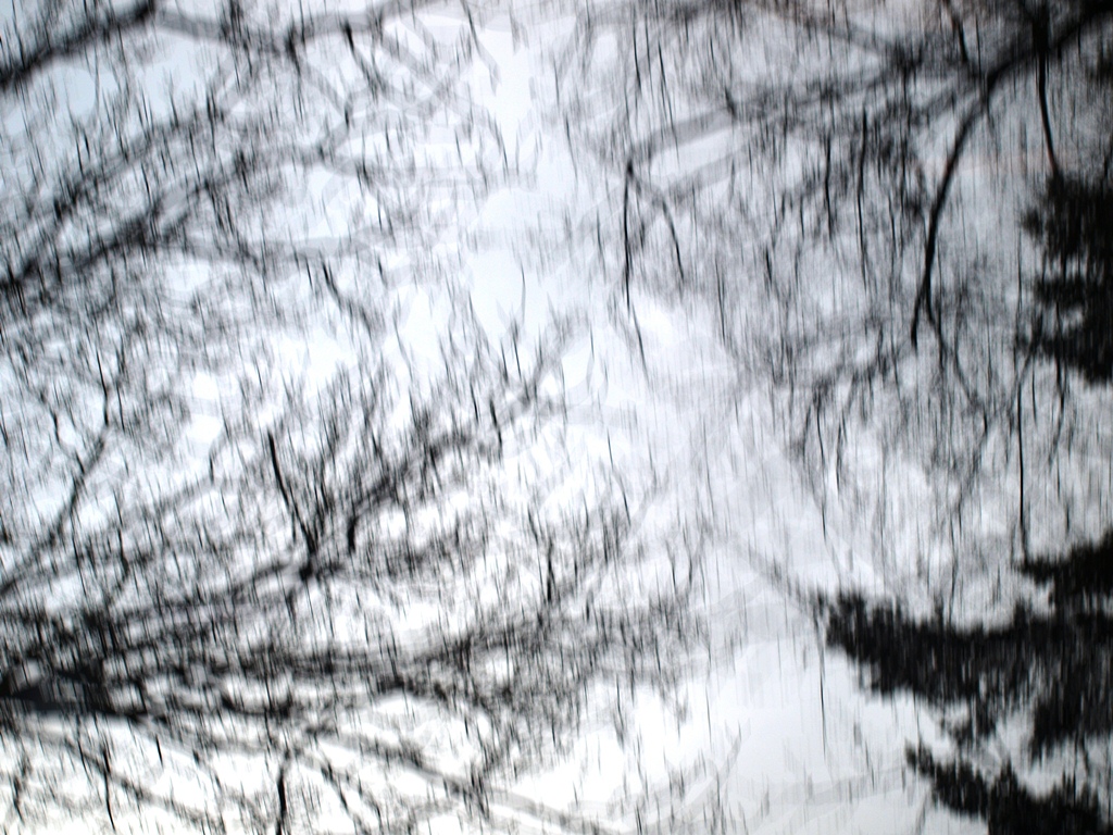 P4036558.JPG