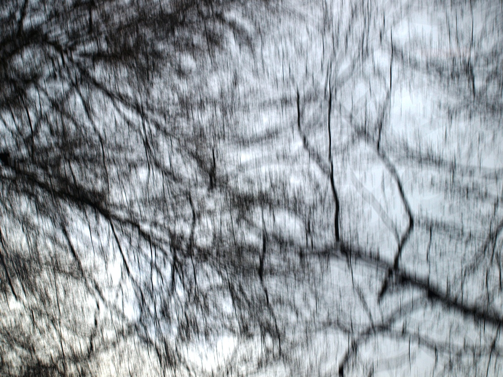 P4036559.JPG