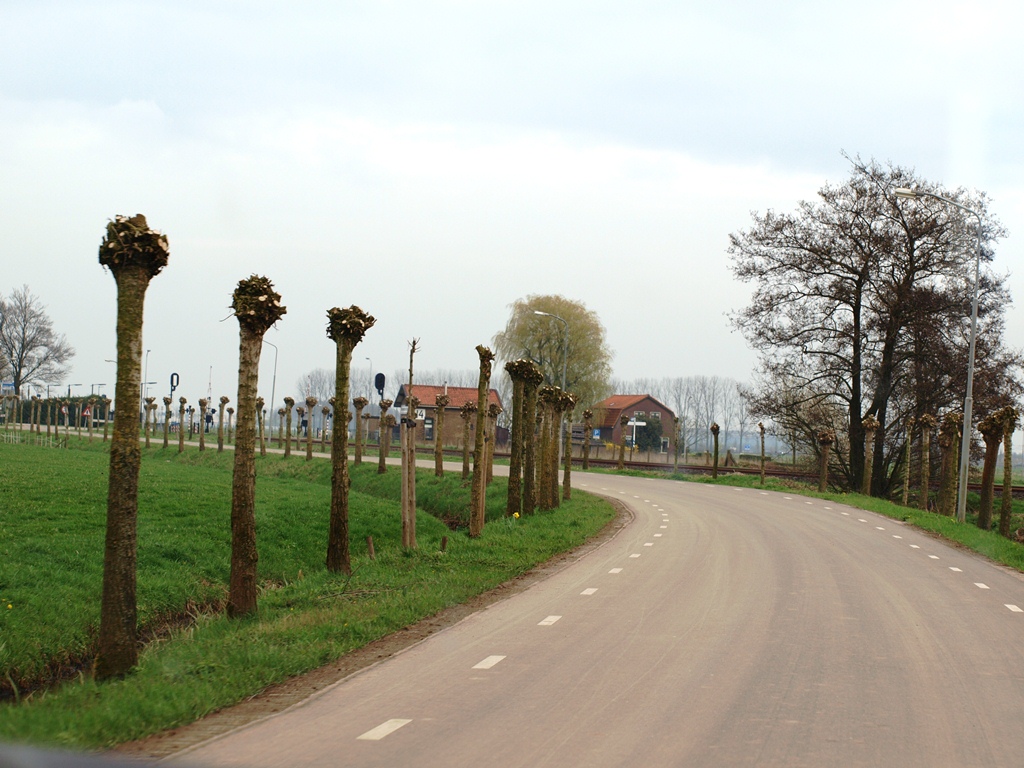 P4036579.JPG