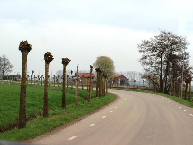 P4036579.JPG