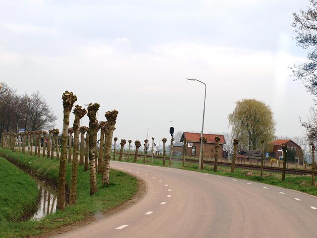 P4036581.JPG