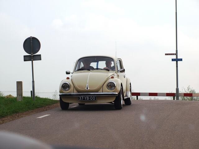 P4036584.JPG