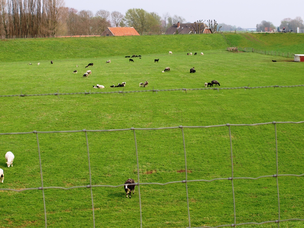 P4036586.JPG