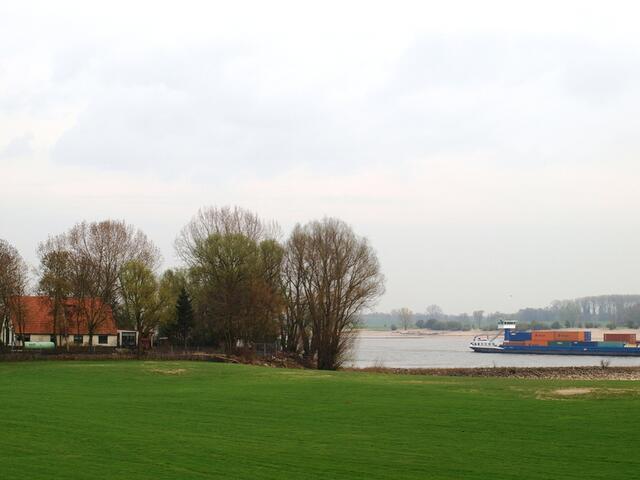 P4036592.JPG