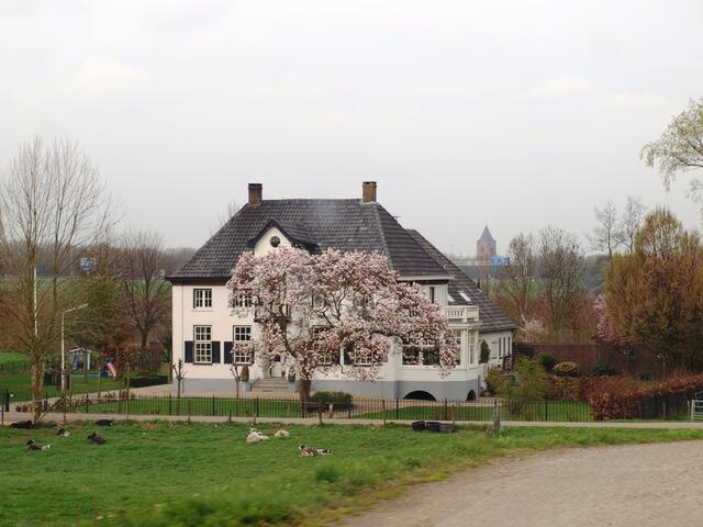 P4036595.JPG