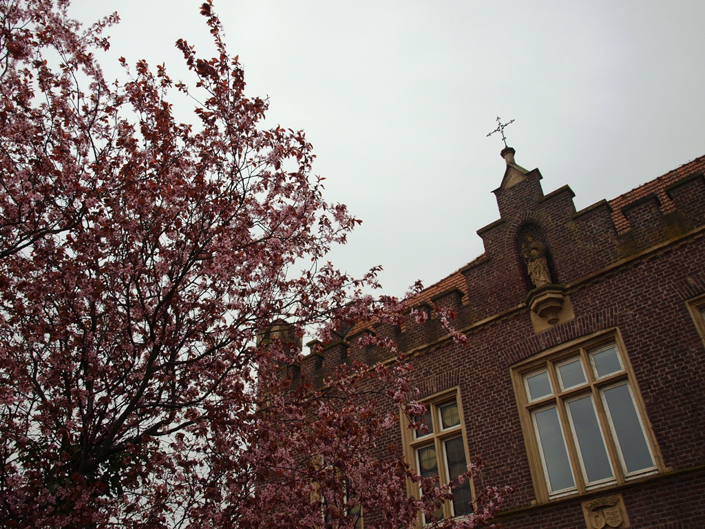 P4036632.JPG