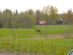 IMGP0558.JPG