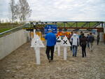 IMGP0563.JPG