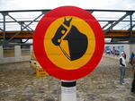 IMGP0564.JPG