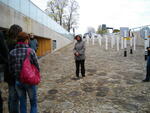 IMGP0567.JPG