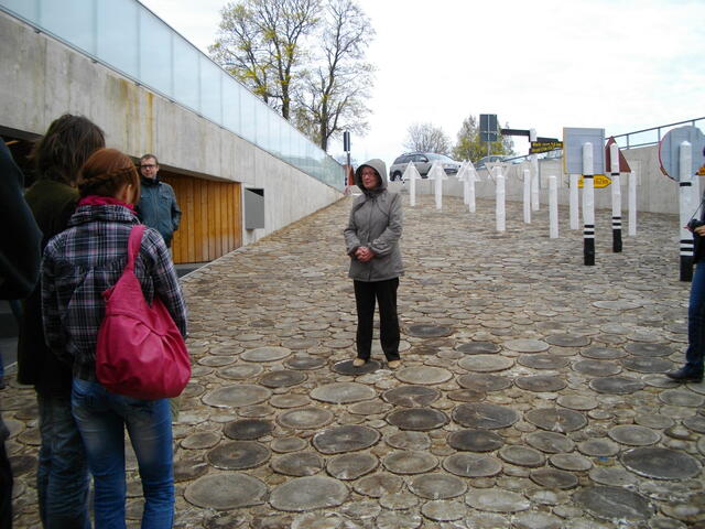 IMGP0567.JPG