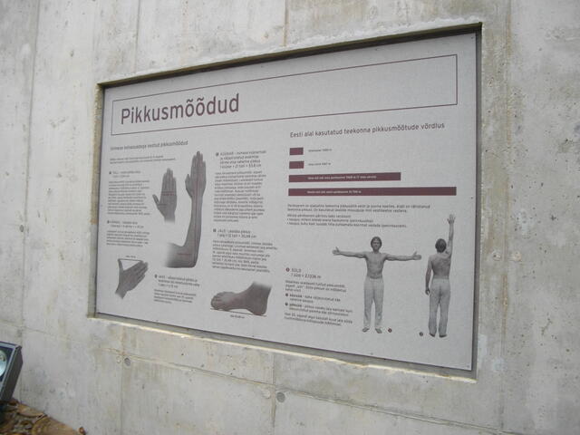 IMGP0569.JPG