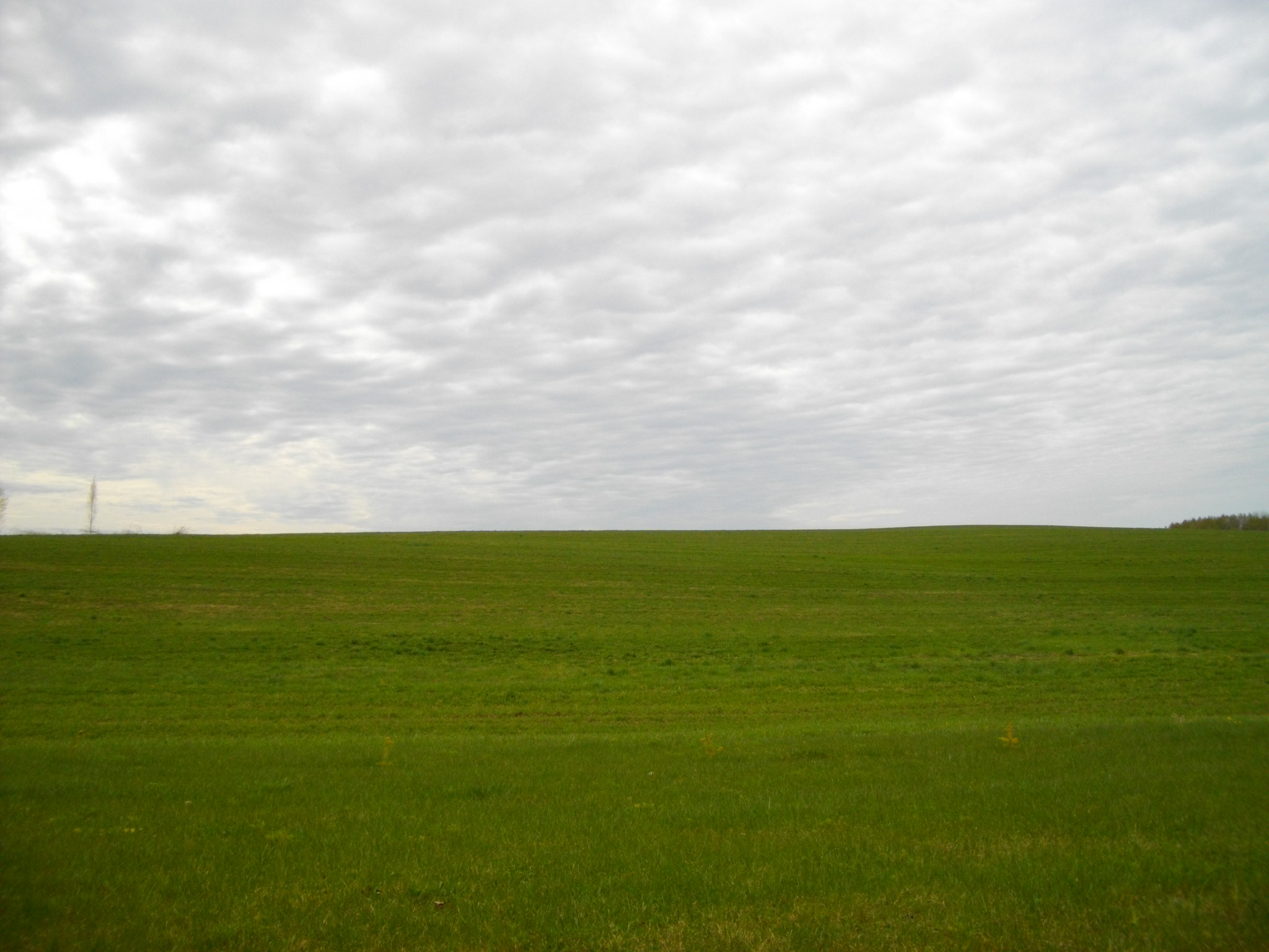 IMGP0575.JPG