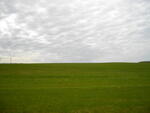 IMGP0575.JPG