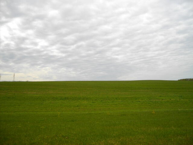 IMGP0575.JPG