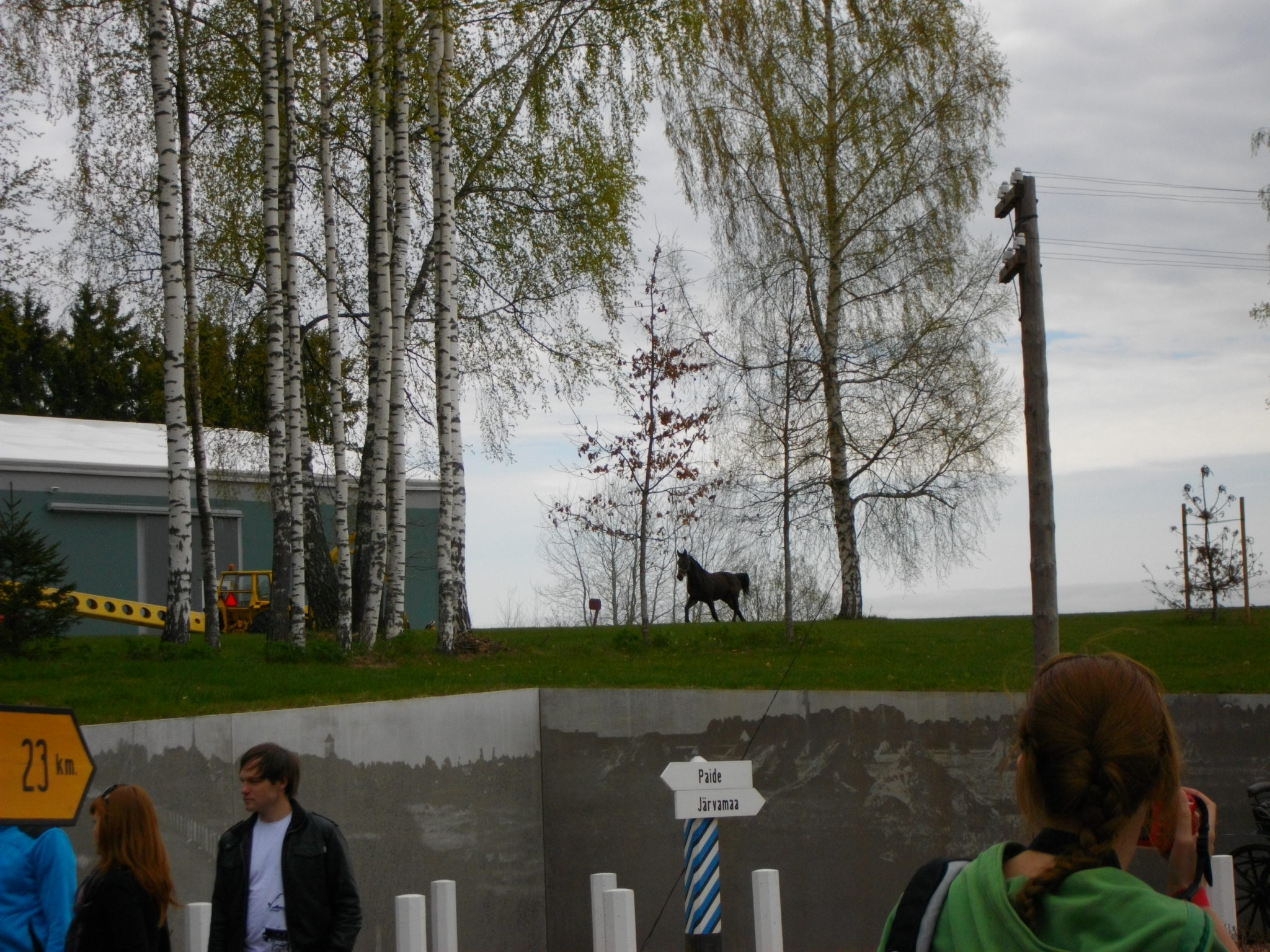 IMGP0590.JPG