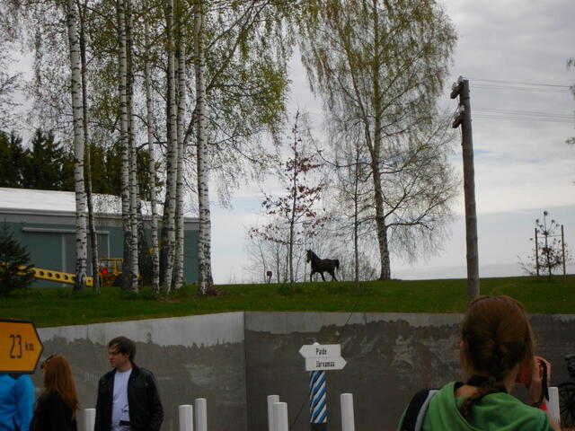 IMGP0590.JPG