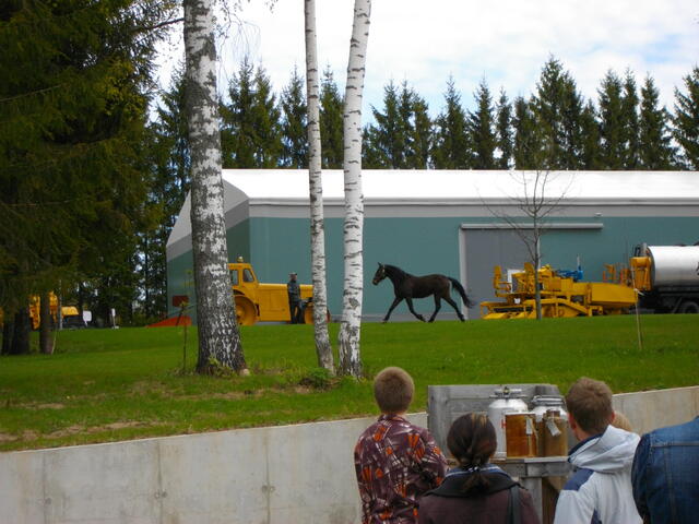 IMGP0591.JPG