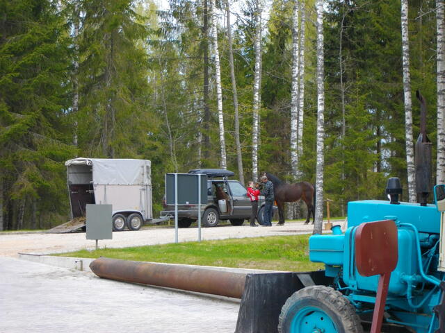 IMGP0593.JPG