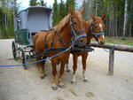 IMGP0596.JPG