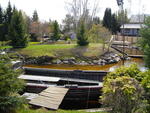 IMGP0626.JPG