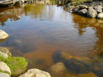 IMGP0632.JPG