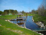 IMGP0640.JPG