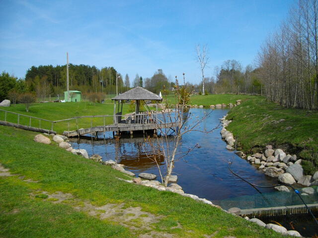 IMGP0640.JPG