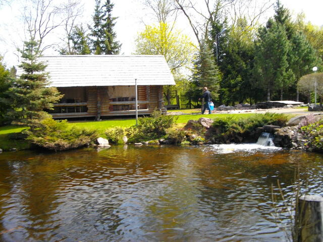 IMGP0650.JPG