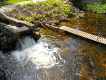 IMGP0651.JPG