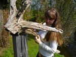 IMGP0660.JPG