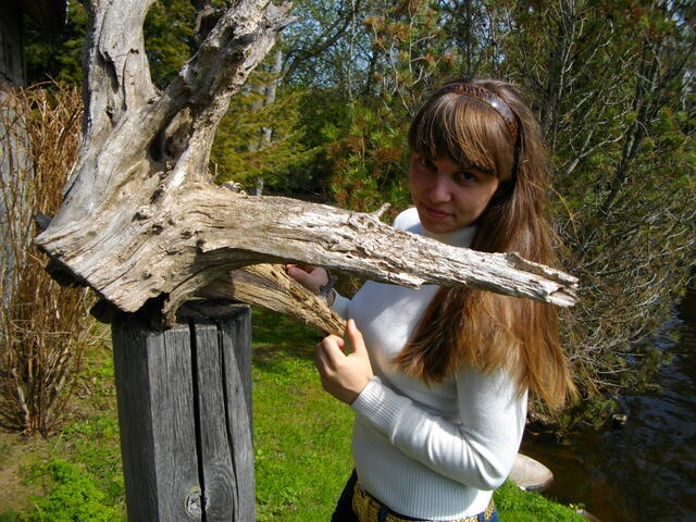 IMGP0660.JPG